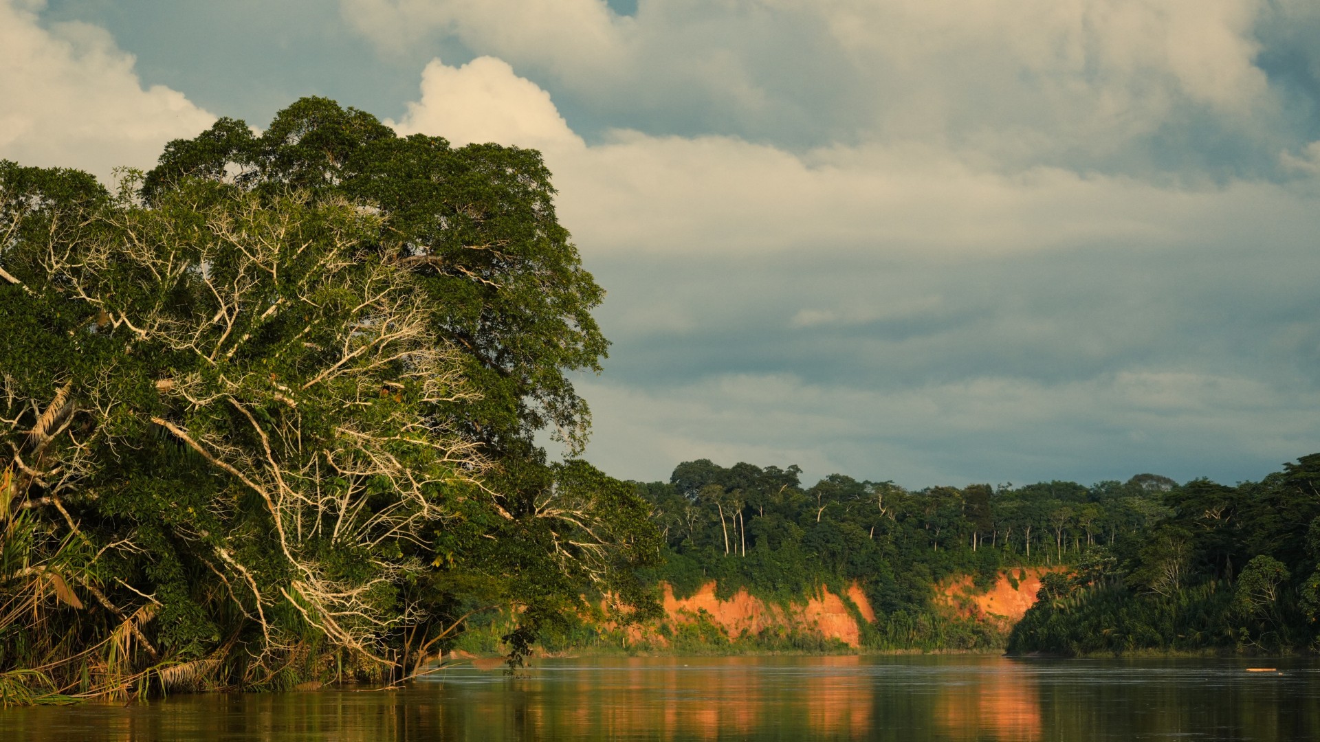 Dschungel-Abenteuer im Amazonas